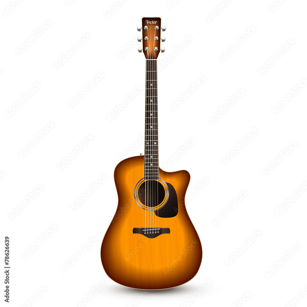 Guitar Realistic Isolated