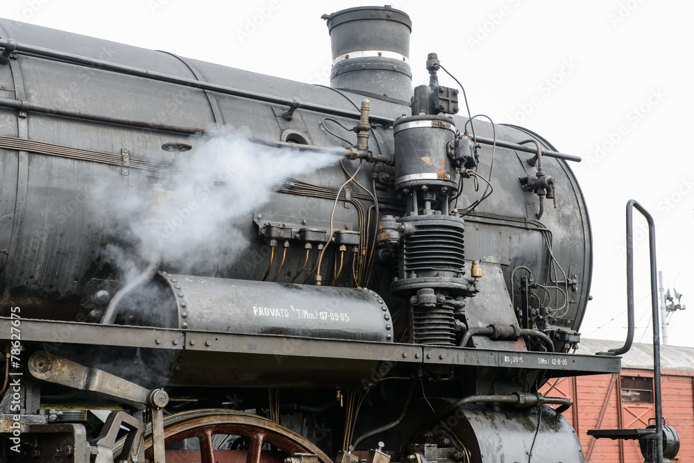 Fototapeta premium Locomotiva a vapore