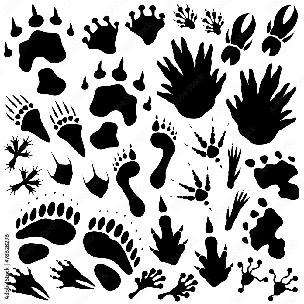 Fototapeta premium Alien monster footprints