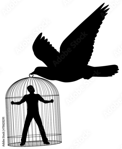 Carrier pigeon