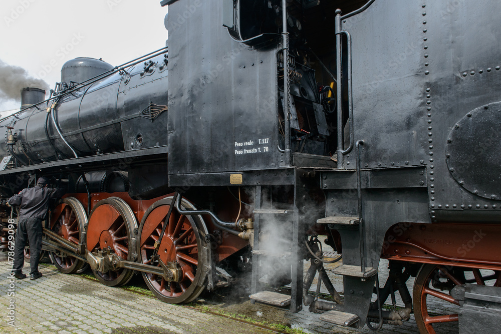 Fototapeta premium Controllo treno