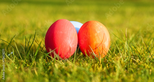 Easter eggs on green meadow