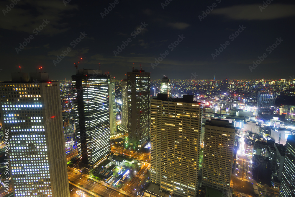 大都会東京イメージ　新宿高層ビル街から望む東京全景　東京スカイツリーも望む