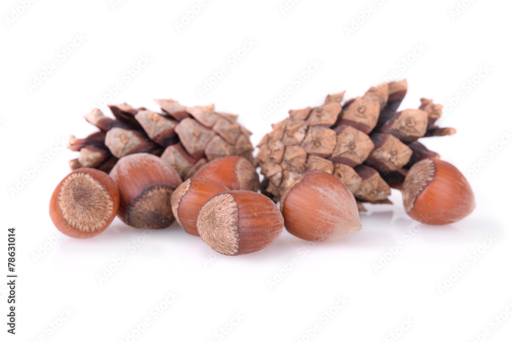 Fototapeta premium hazelnuts with cones