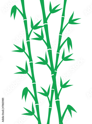 Green bamboo stems on white background © ihorzigor