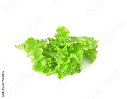 lettuce salad on a white background