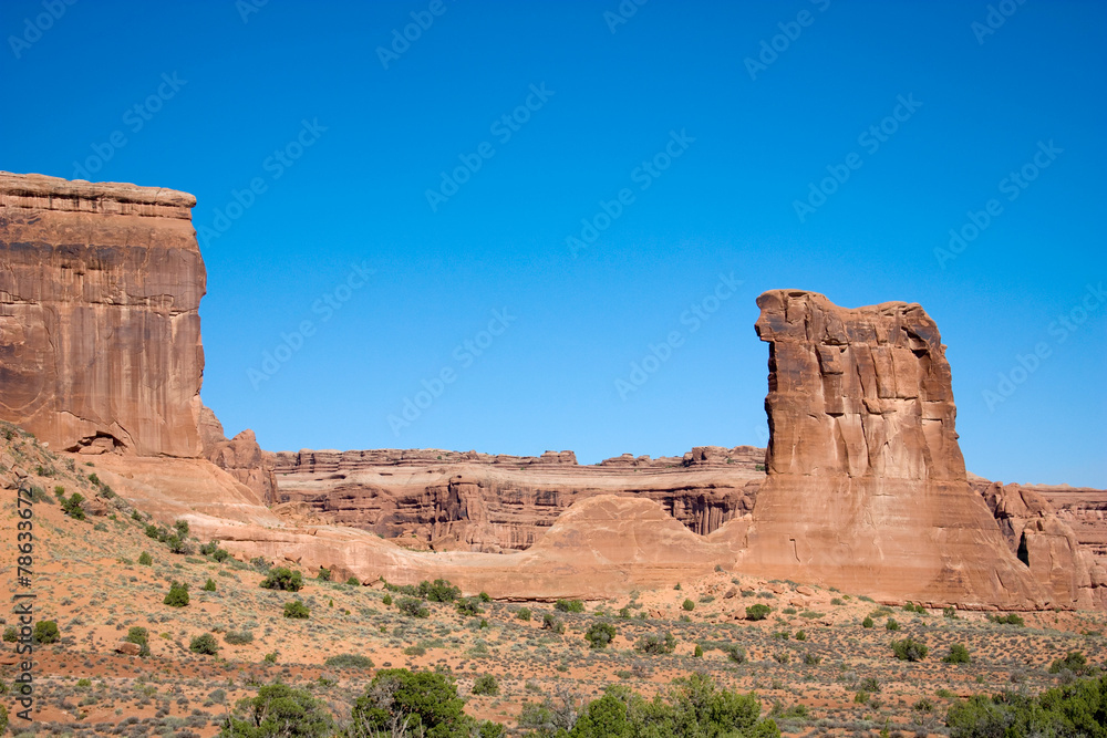 Fototapeta premium Desert american landscape