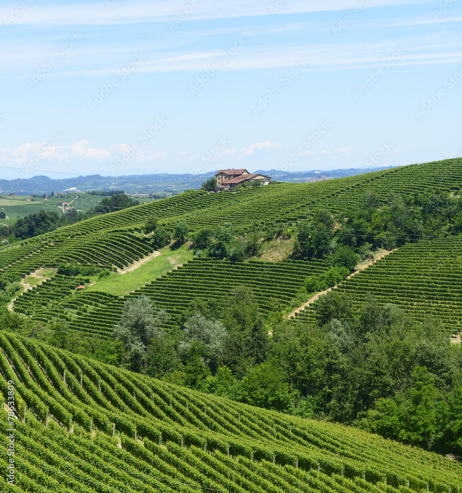 Summer landscape in Langhe (Italy) Summer landscape in Langhe (Italy)