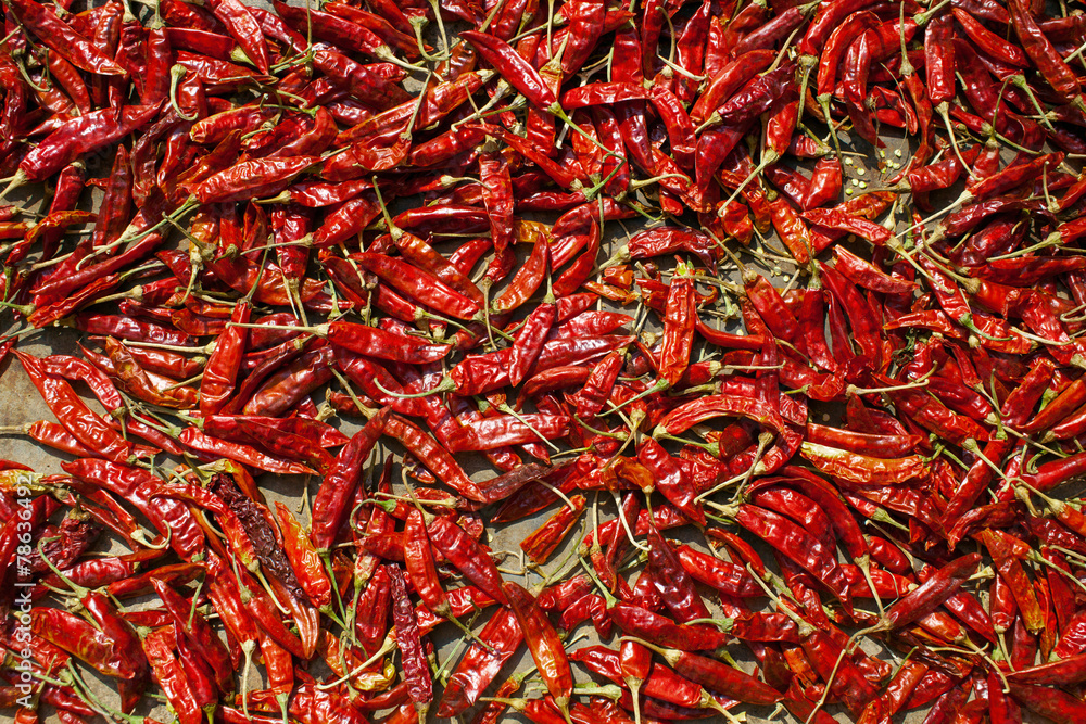 Spicy chillies pepper