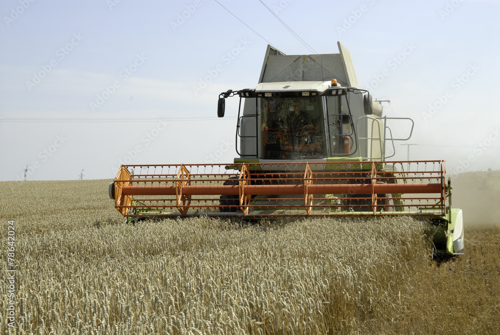 Fototapeta premium Combine harvester