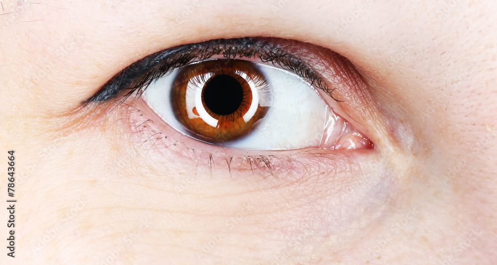 Fototapeta premium Human eye close-up