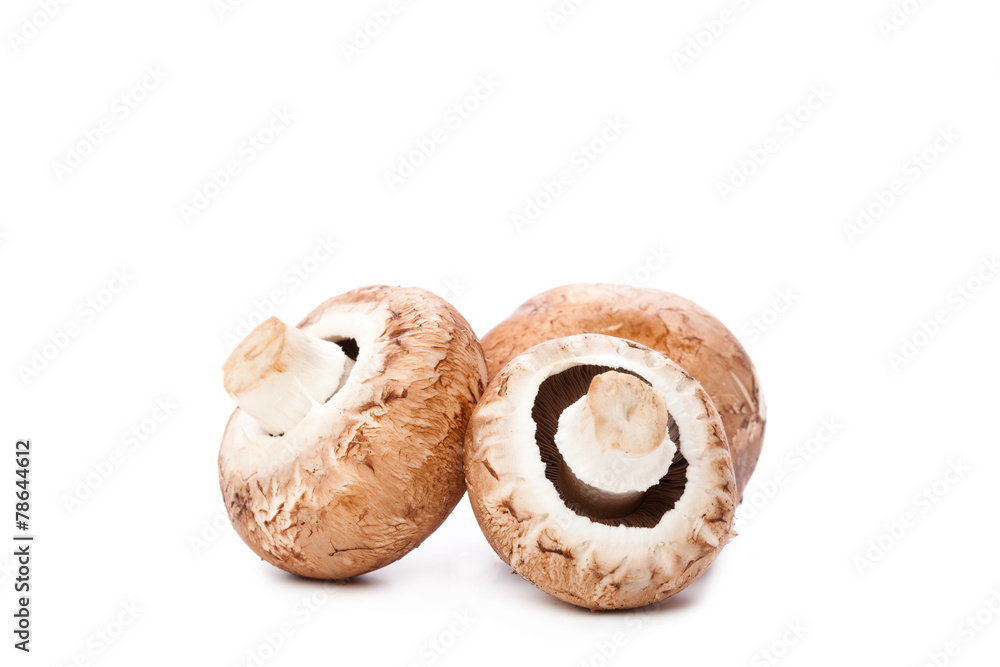 mushroom on white