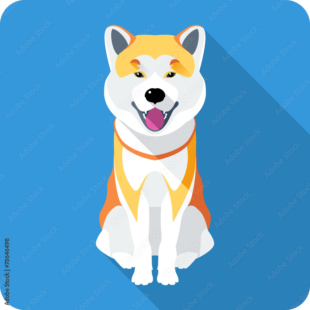 dog Akita Inu Japanese breed icon flat design dog Akita Inu Japanese breed icon flat design