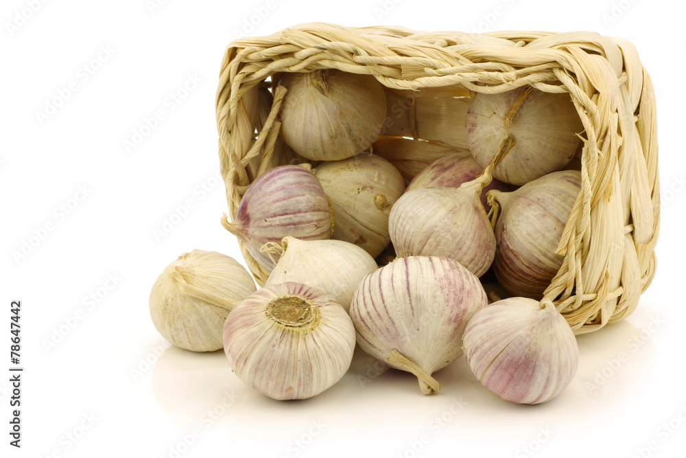 Fototapeta premium fresh garlic bulbs in a woven basket on a white background