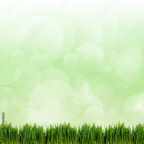 Green grass on green background