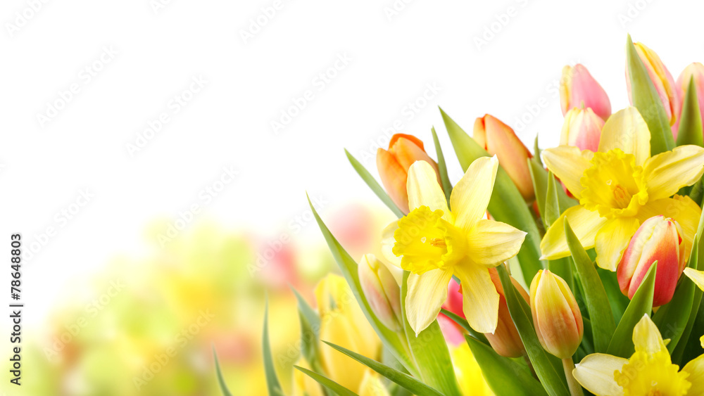 Naklejka premium Wycinaj tulipany i żonkile na Wielkanoc