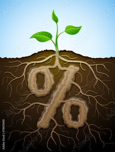 Percent sign like root of plant. Tuber in shape of percentage