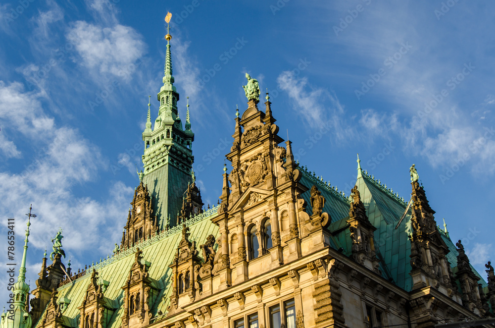 Naklejka premium Rathaus Hamburg