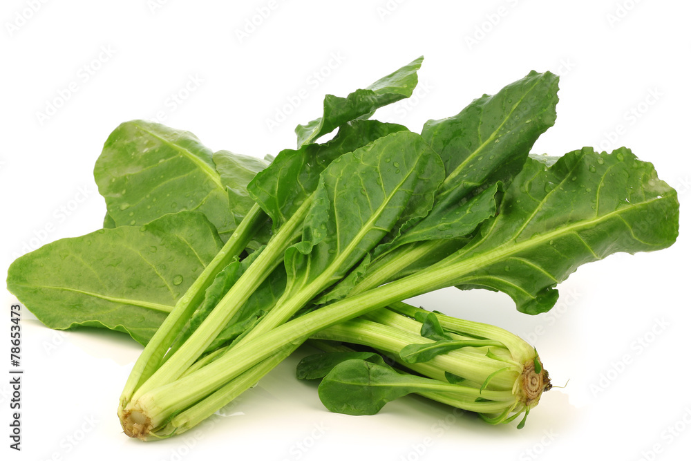 chinese spinach (Ipomoea aquatica) on a white background chinese spinach (Ipomoea aquatica) on a white background