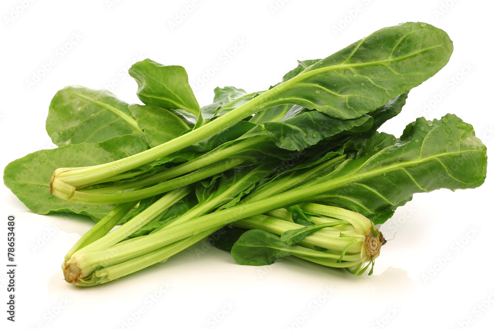 chinese spinach (Ipomoea aquatica) on a white background chinese spinach (Ipomoea aquatica) on a white background