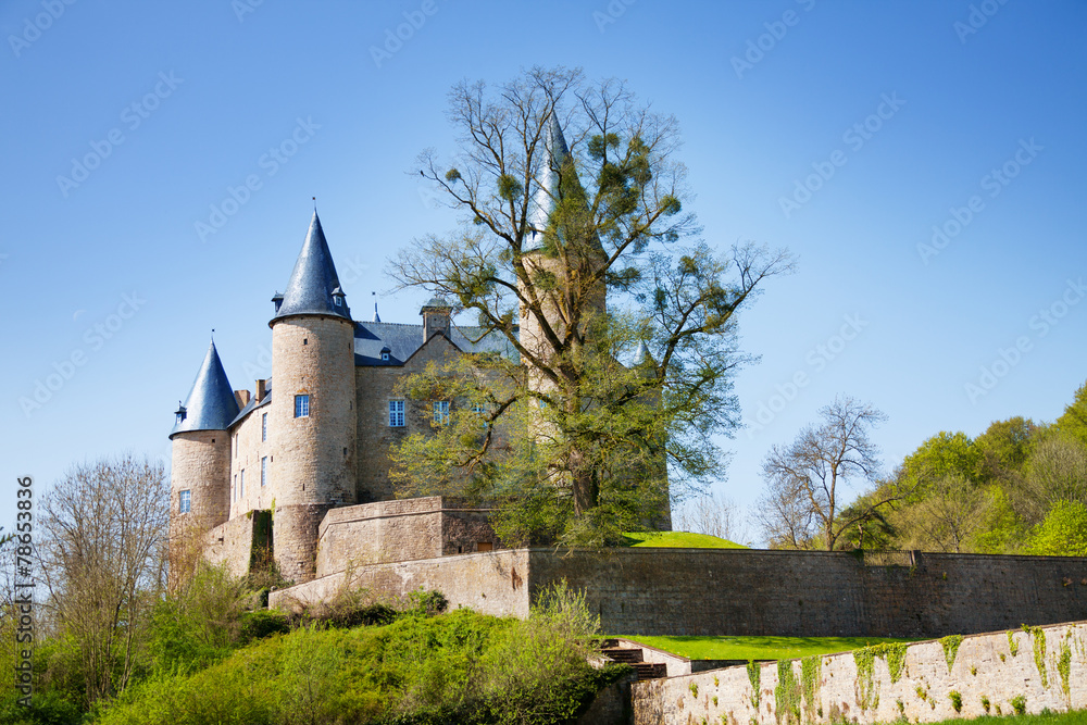 Summer view of Veves Castle during day