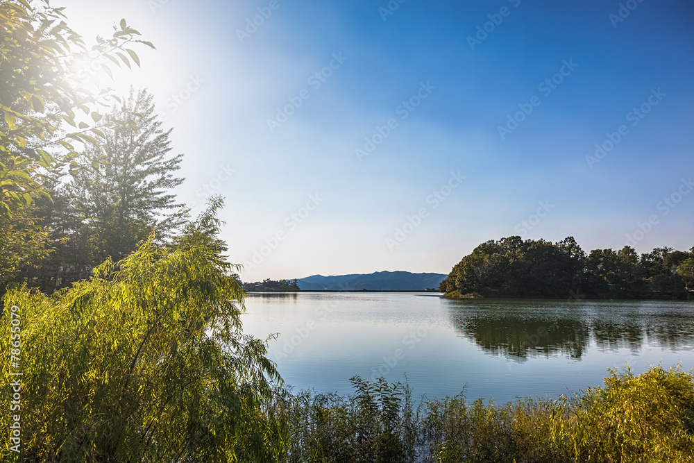 Obraz premium Lake or pond landscape