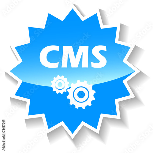 Cms blue icon
