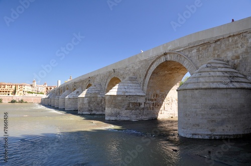 Roman bridge of Córdoba © iza_miszczak