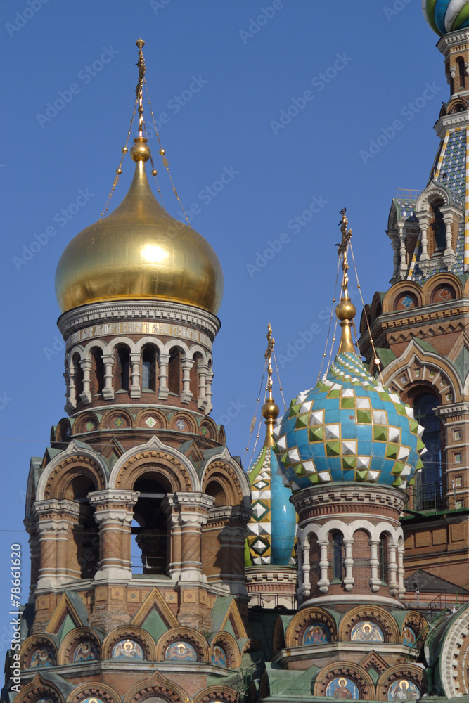 Church of the Savior on Blood Details