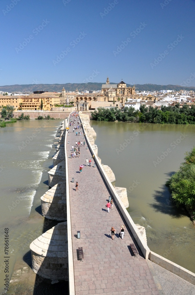 Naklejka premium Roman bridge of Córdoba