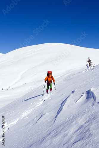 Winter hiking in snowshoes. © vetal1983