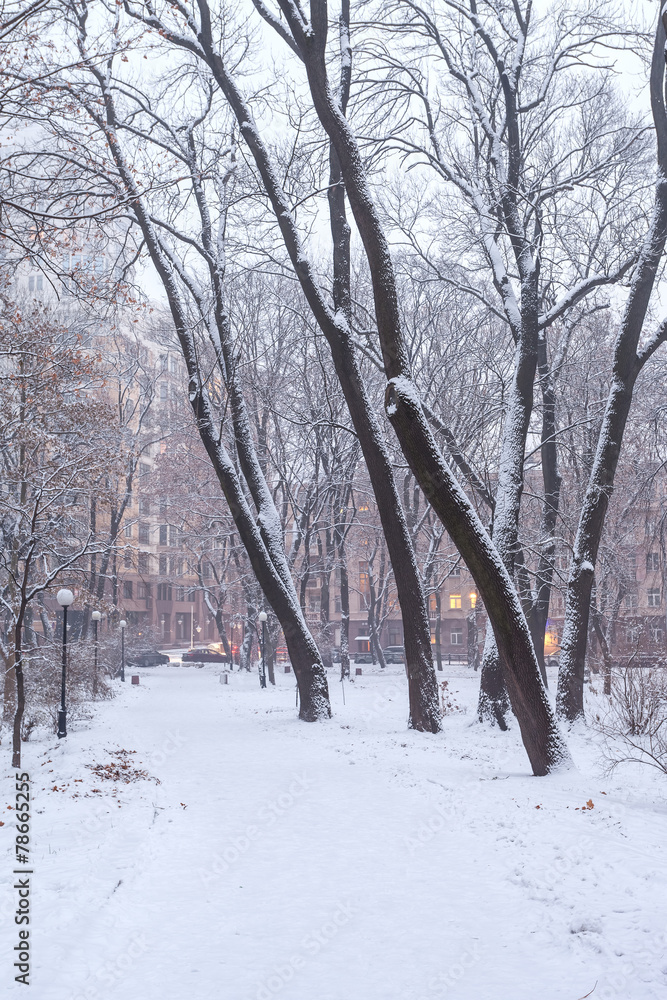 Footpath in a fabulous winter city park Footpath in a fabulous winter city park