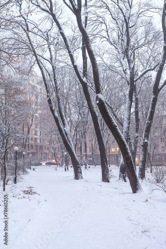 Footpath in a fabulous winter city park © beerlogoff