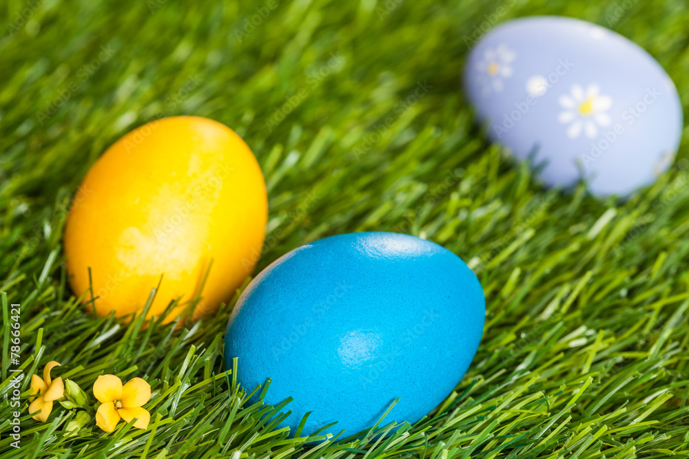 Three Easter Eggs on Grass Three Easter Eggs on Grass