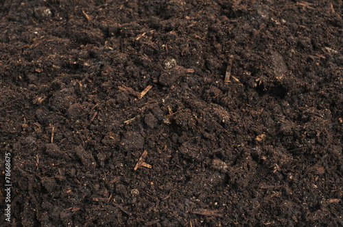 close-up of soil