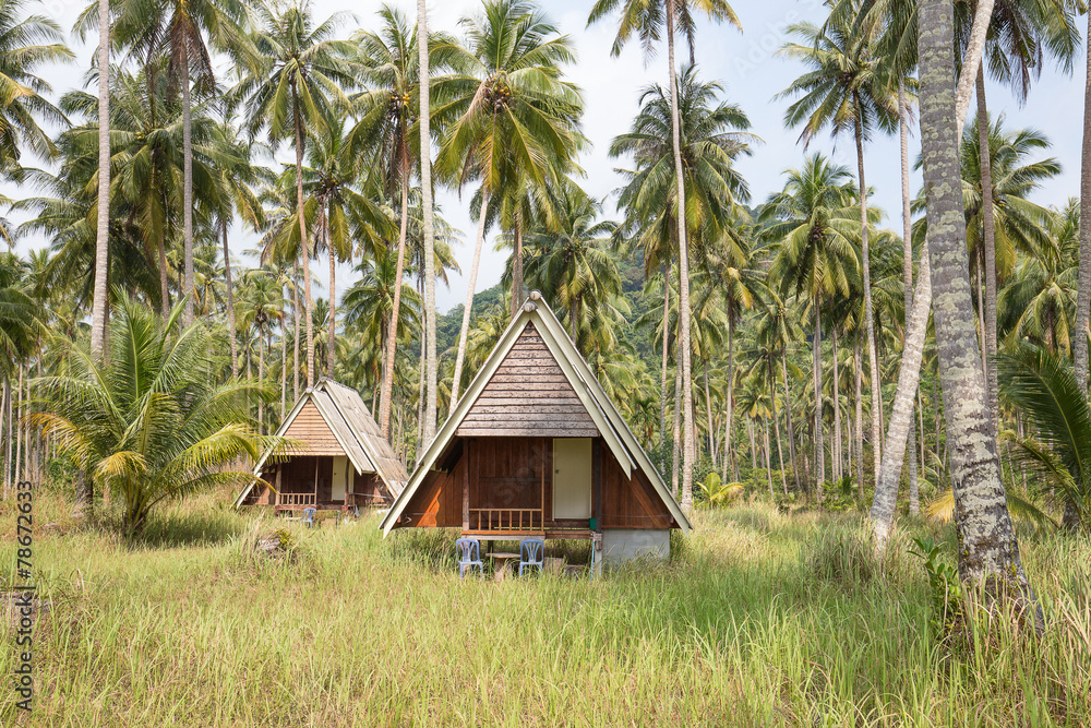 Overgrown tropical bungalows in the jungle, Thailand Overgrown tropical bungalows in the jungle, Thailand