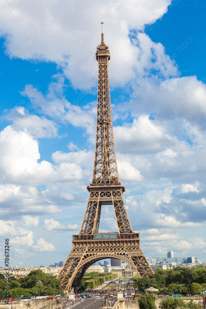 Fototapeta premium Eiffel Tower in Paris