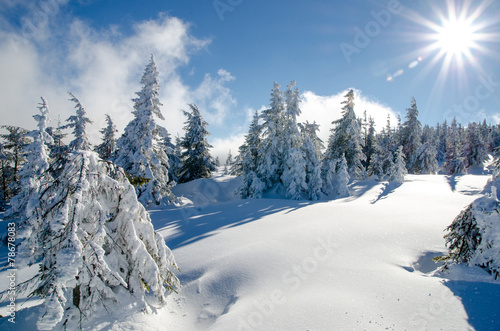 Winter Landscape - Transylvania