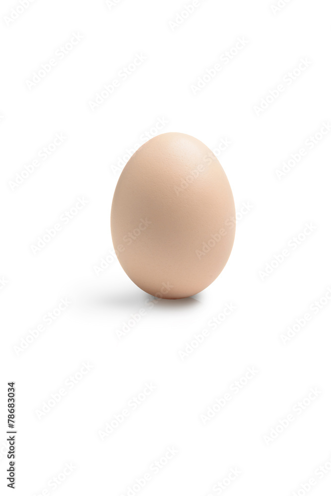 Whole egg on a white background Whole egg on a white background
