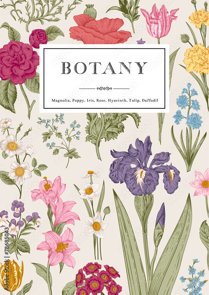 Naklejka premium Botany. Vintage floral card.