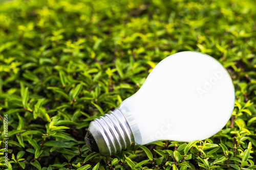 Light bulb on plant