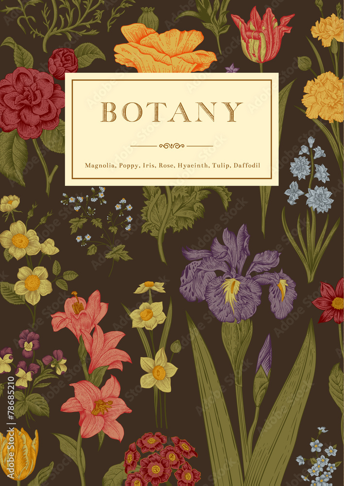 Naklejka premium Botany. Vintage floral card.