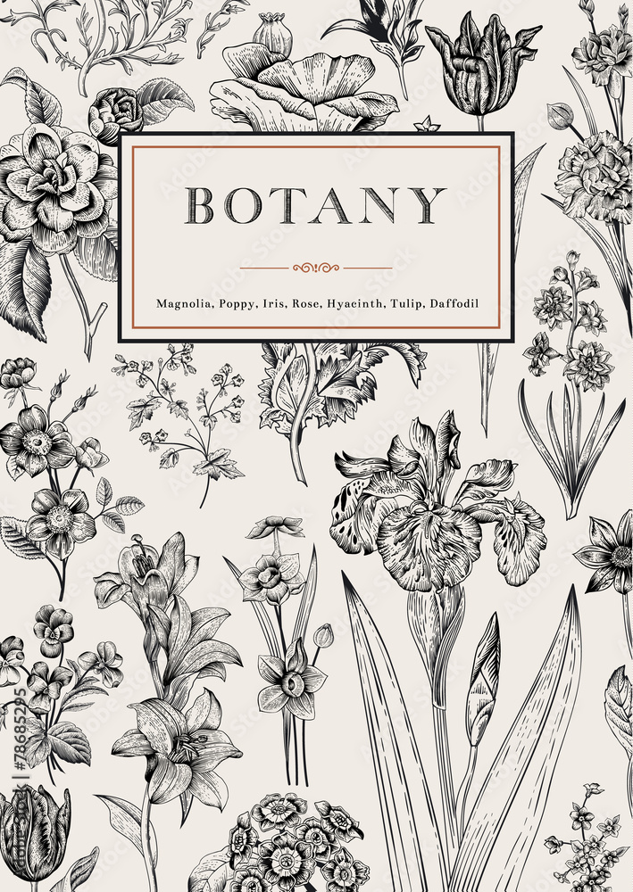 Fototapeta premium Botany. Vintage floral card.