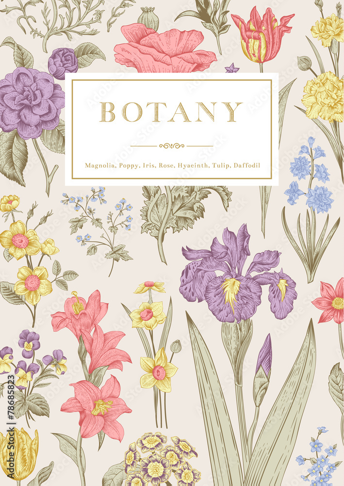 Fototapeta premium Botany. Vintage floral card.