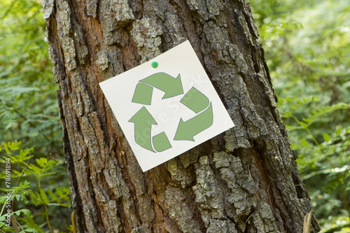 Recycle sign on a tree