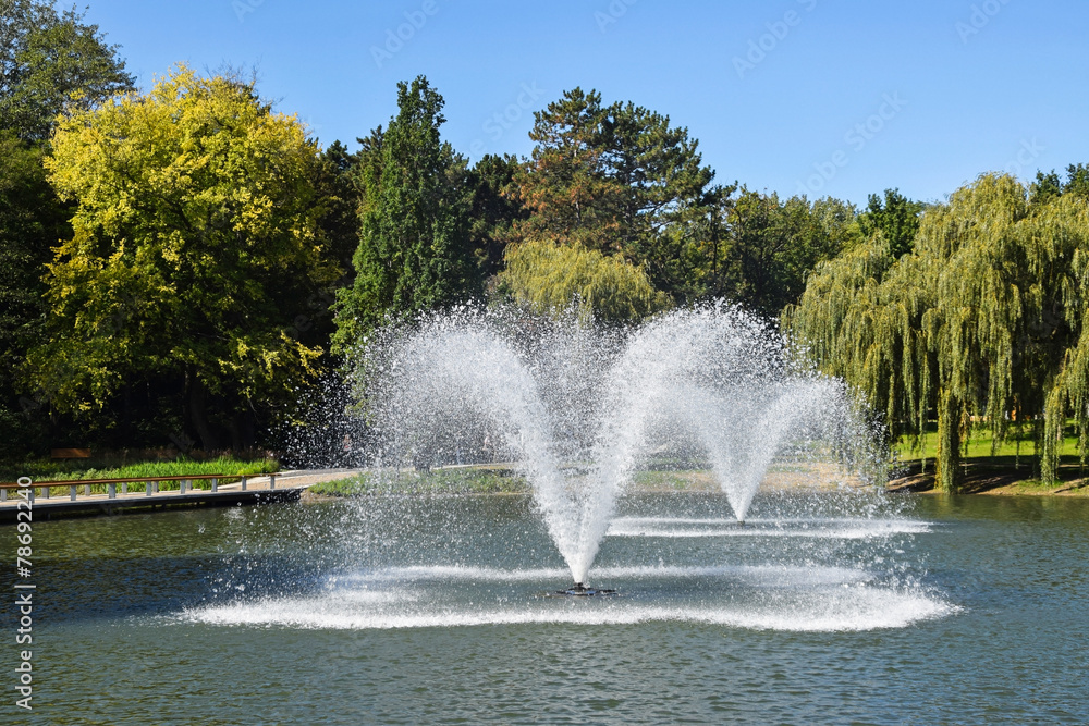 Fountains of the lake in the woods