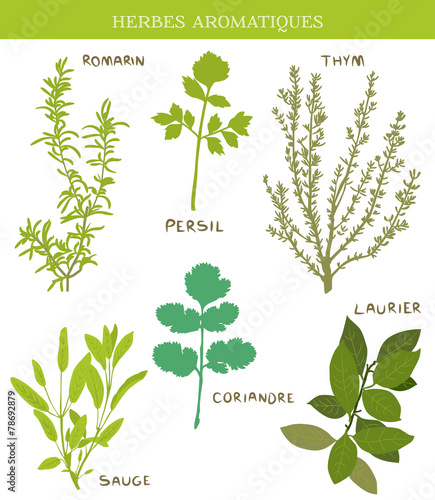 Herbes Aromatiques