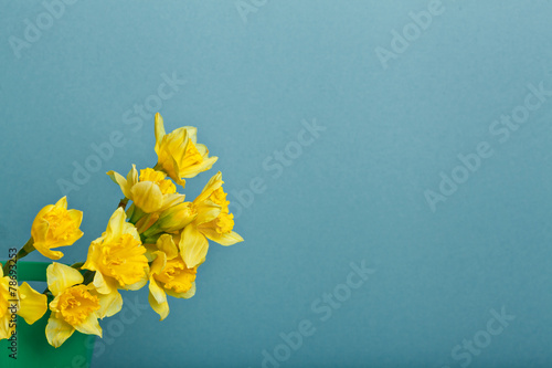 bouquet of narcissus on blue backgroung
