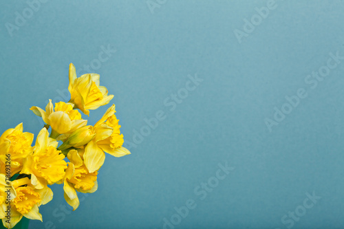 Fototapeta Naklejka Na Ścianę i Meble -  bouquet of narcissus on blue backgroung