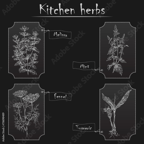 Kitchen herbs